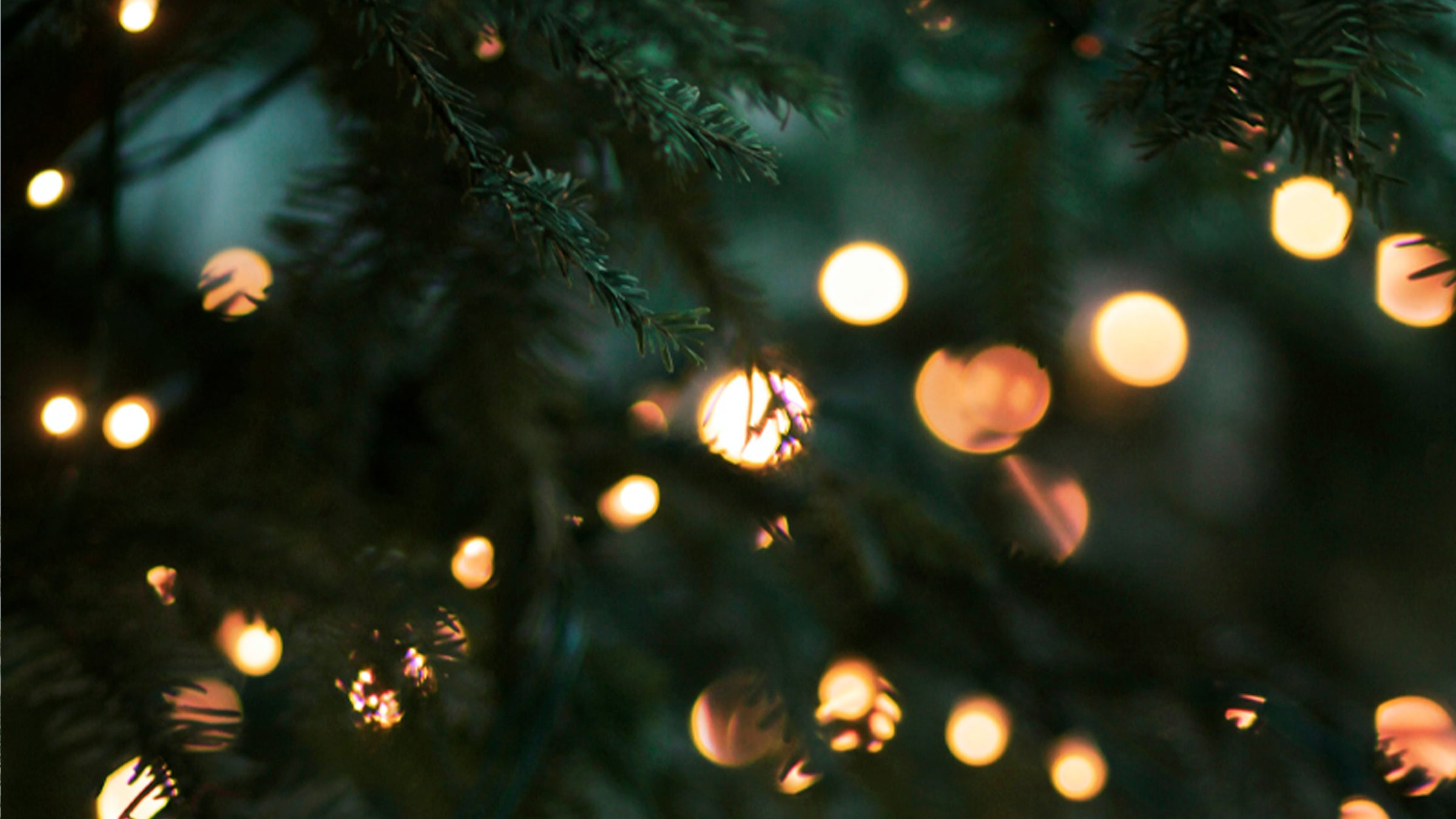 Christmas tree background